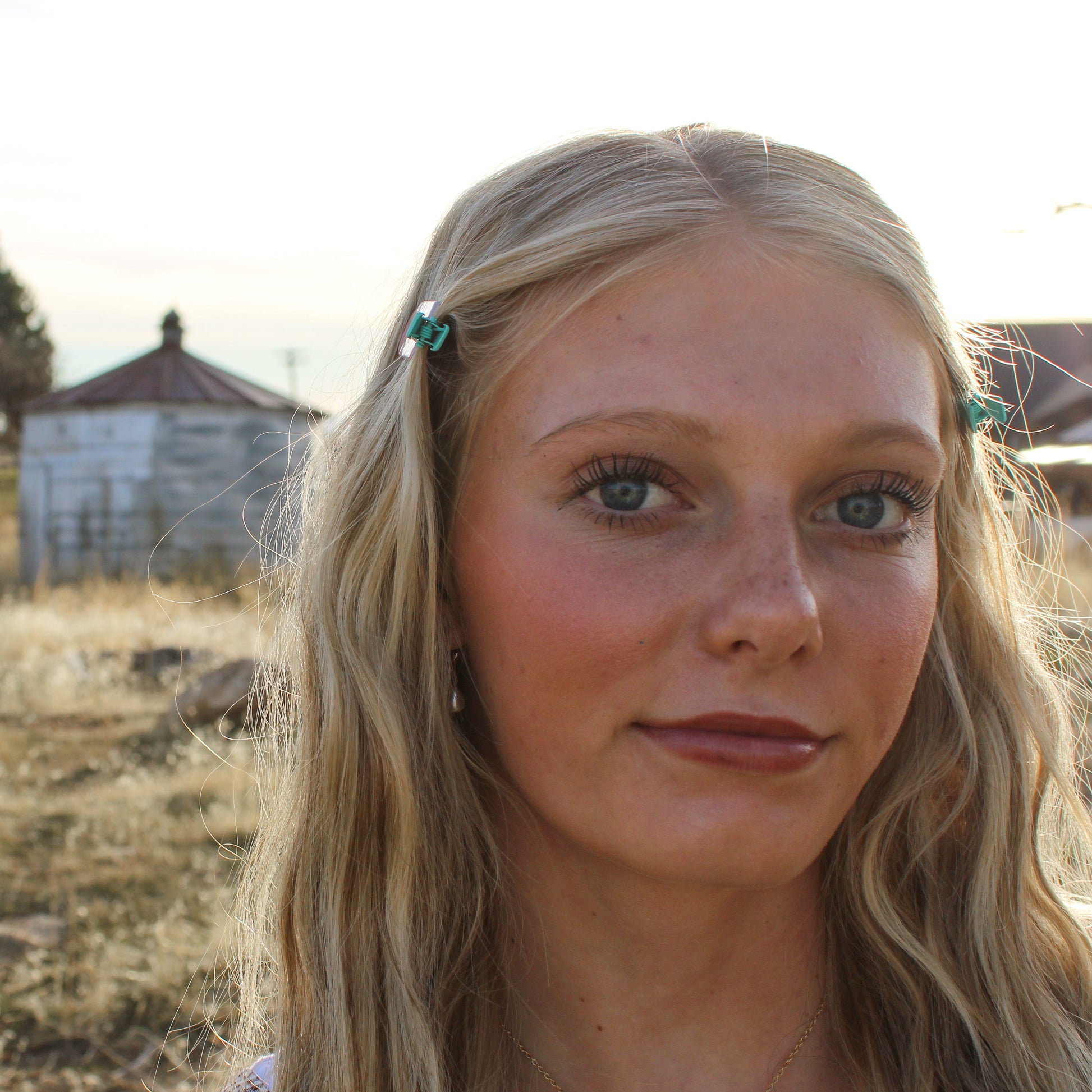 Gingham Cherries Clips